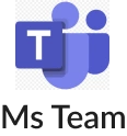 Ms Team Icon